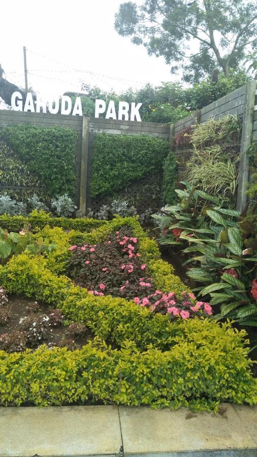 Garuda Park Resort コタジリ 部屋 写真